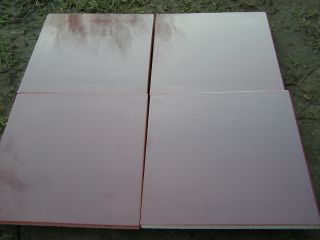 P2220909-1.jpg